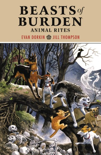 BEASTS OF BURDEN ANIMAL RITES TP (9781506706368)