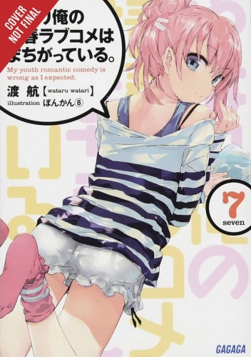 YOUTH ROMANTIC COMEDY WRONG EXPECTED NOVEL SC VOL 07 (9781975384128)