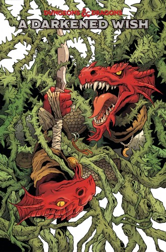 DUNGEONS & DRAGONS A DARKENED WISH #3 CVR A FOWLER