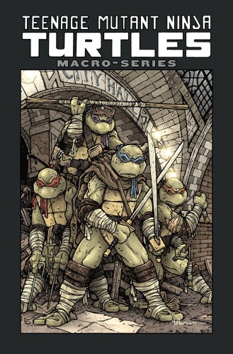 TMNT MACROSERIES TP (9781684054831)