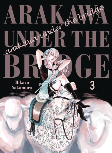 ARAKAWA UNDER THE BRIDGE GN VOL 06 (9781947194458)
