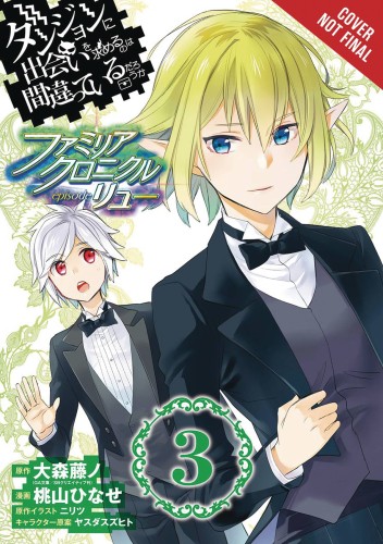 IS WRONG PICK UP GIRLS DUNGEON FAMILIA LYU GN VOL 03 (9781975301521)