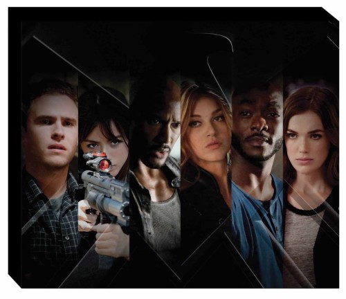MARVELS AGENTS SHIELD SEASON TWO DECLASSIFIED SLIPCASE HC (9780785193807)