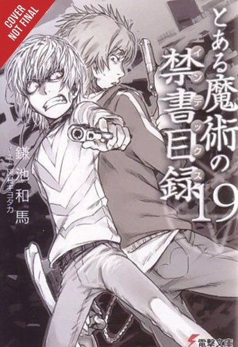 CERTAIN MAGICAL INDEX LIGHT NOVEL SC VOL 19 (9781975357566)