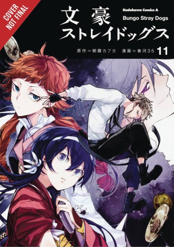 BUNGO STRAY DOGS GN VOL 11 (9781975304492)