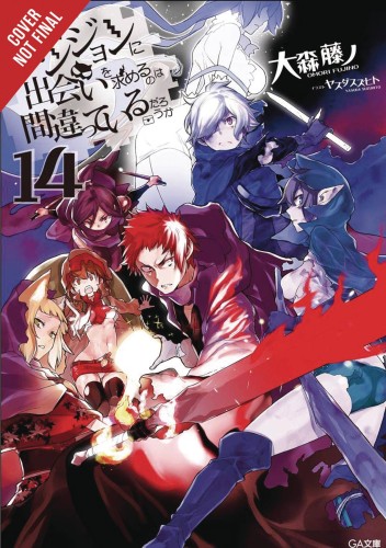 IS WRONG PICK UP GIRLS DUNGEON NOVEL SC VOL 14 (9781975385019)