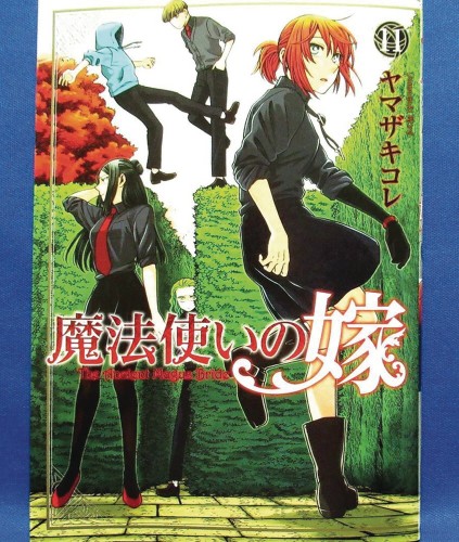 ANCIENT MAGUS BRIDE GN VOL 11 (9781642751017)