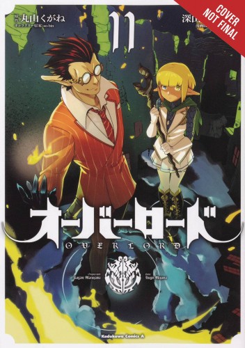 OVERLORD GN VOL 11 (9781975332303)