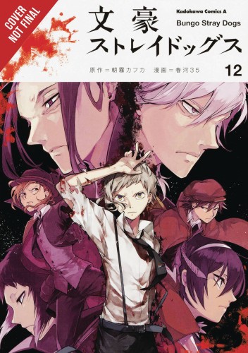 BUNGO STRAY DOGS GN VOL 12 (9781975304522)