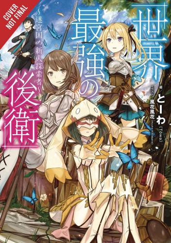 WORLD STRONGEST REARGUARD LABYRINTH DUNGEON NOVEL SC VOL 01 (9781975331542)