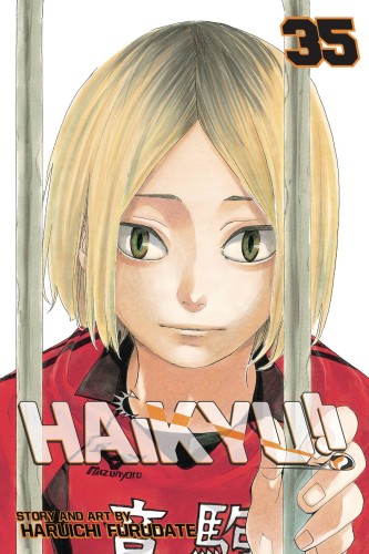 HAIKYU GN VOL 35 (9781974709458)