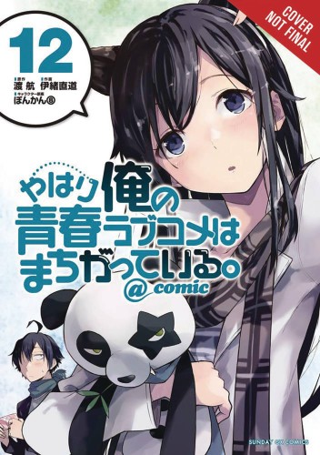 YOUTH ROMANTIC COMEDY WRONG EXPECTED GN VOL 12 (9781975359379)