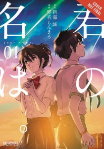 YOUR NAME GN VOL 01