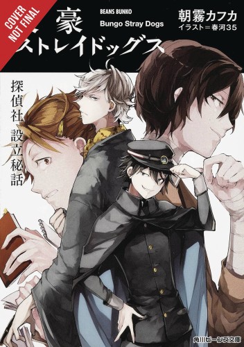 BUNGO STRAY DOGS NOVEL SC VOL 03 UNTOLD ORIGINS AGENCY (9781975303266)
