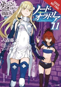 IS WRONG PICK GIRLS DUNGEON SWORD ORATORIA NOVEL SC VOL 11