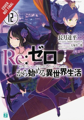 RE ZERO SLIAW LIGHT NOVEL SC VOL 12 (9781975383206)