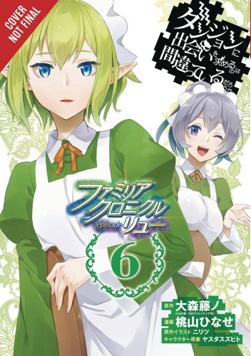 IS WRONG PICK UP GIRLS DUNGEON FAMILIA LYU GN VOL 06 (9781975331894)