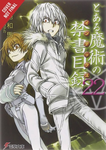 CERTAIN MAGICAL INDEX LIGHT NOVEL SC VOL 22 (9781975331283)