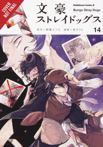 BUNGO STRAY DOGS GN VOL 14 (9781975304584)