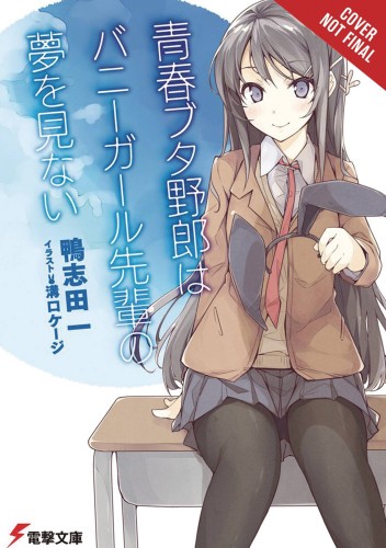 RASCAL DOES NOT DREAM BUNNY GIRL SENPAI NOVEL SC VOL 01 (9781975399351)
