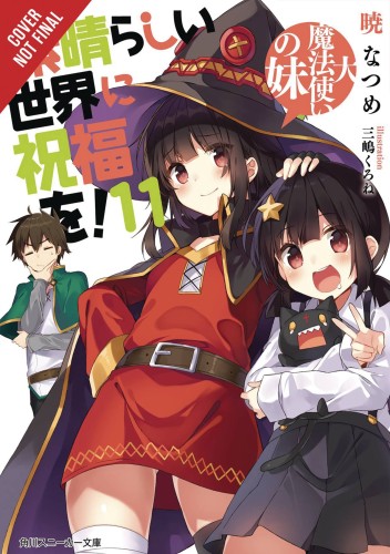 KONOSUBA LIGHT NOVEL SC VOL 11 (9781975332365)