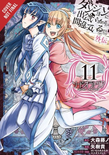 IS WRONG PICK UP GIRLS DUNGEON SWORD ORATORIA GN VOL 11 (9781975332150)