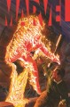 MARV2020001_DC11.pdf_Page_1.jpg