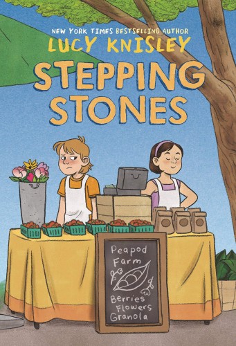 STEPPING STONES HC GN (9780593125243)