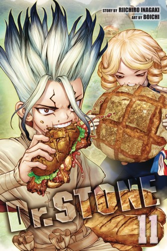 DR STONE GN VOL 11 (9781974714797)