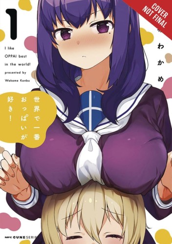 BREASTS ARE MY FAVORITE THINGS IN WORLD GN VOL 01 (9781975310035)