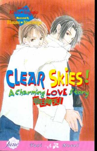 CLEAR SKIES A CHARMING LOVE STORY NOVEL (9781569705728)