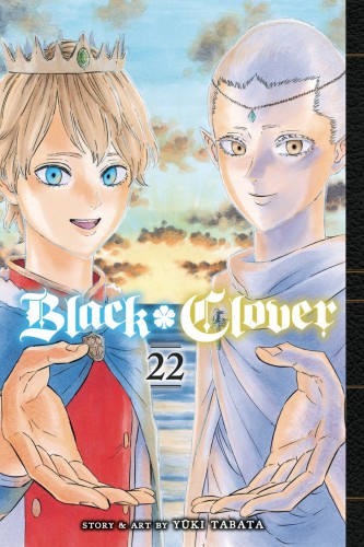 BLACK CLOVER GN VOL 22 (9781974715015)