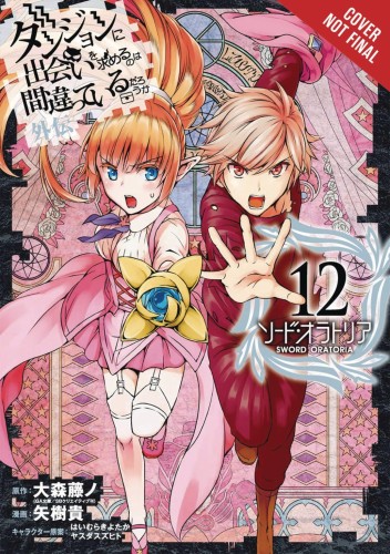 IS WRONG PICK UP GIRLS DUNGEON SWORD ORATORIA GN VOL 12 (9781975313074)