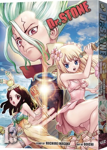 DR STONE GN VOL 13 (9781974717286)