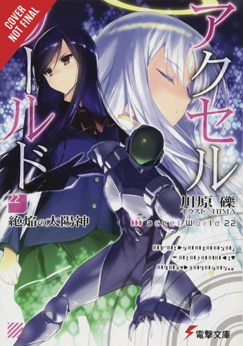 ACCEL WORLD LIGHT NOVEL SC VOL 22 (9781975332778)