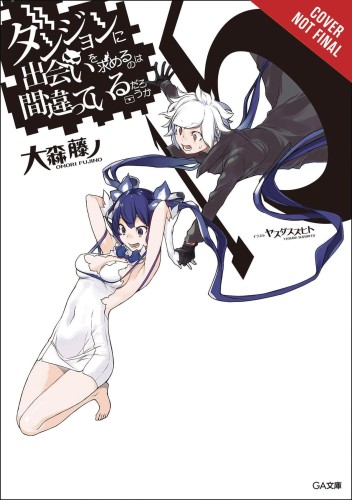IS WRONG PICK UP GIRLS DUNGEON NOVEL SC VOL 15 (9781975316105)