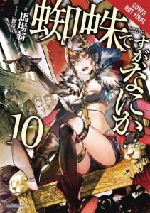 SO IM SPIDER SO WHAT LIGHT NOVEL SC VOL 10