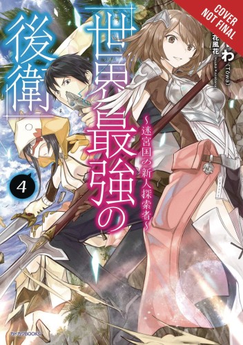 WORLD STRONGEST REARGUARD LABYRINTH NOVICE NOVEL SC VOL 04 (9781975315719)