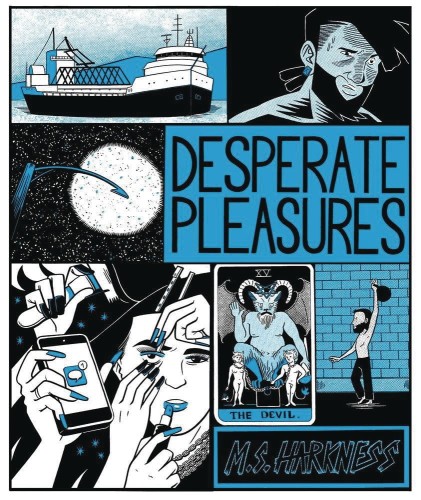 DESPERATE PLEASURES GN (9781941250426)