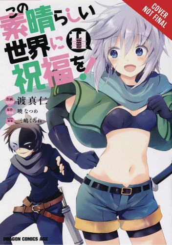 KONOSUBA GOD BLESSING WONDERFUL WORLD GN VOL 11 (9781975319113)