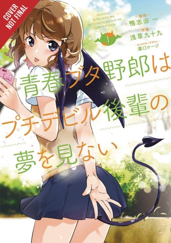 RASCAL DOES NOT DREAM PETITE DEVIL KOUHAI GN (9781975318017)