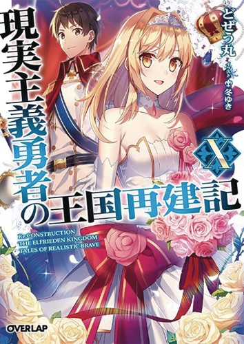 HOW REALIST HERO REBUILT KINGDOM LIGHT NOVEL 10 (9781645059516)
