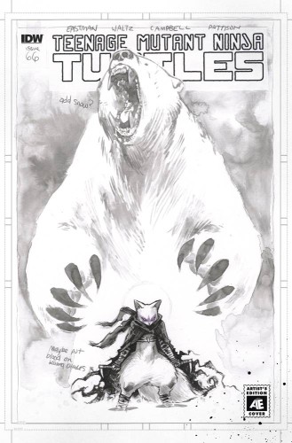 TMNT ONGOING #66 ARTIST ED VAR