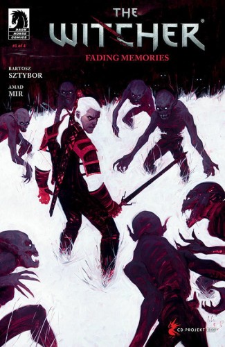 WITCHER FADING MEMORIES #1 (OF 4) CVR B