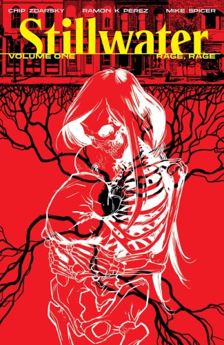 STILLWATER BY ZDARSKY & PEREZ TP VOL 01 (9781534318373)