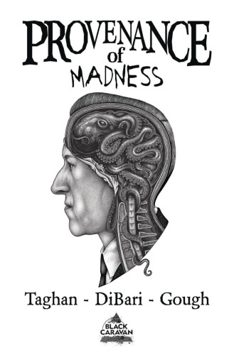 PROVENANCE OF MADNESS TP CVR A PAUL JACKSON (9781949514551)