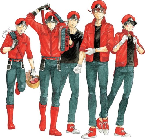 CELLS AT WORK CODE BLACK GN VOL 07 (9781646511501)
