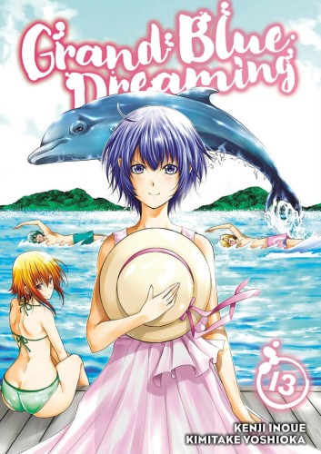 GRAND BLUE DREAMING GN VOL 13 (9781646510443)