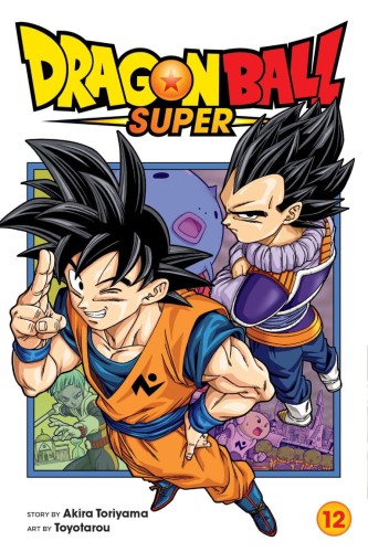 DRAGON BALL SUPER GN VOL 12 (9781974720019)