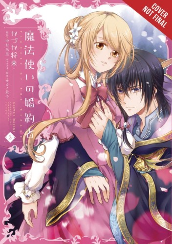 FIANCEE OF THE WIZARD GN VOL 03 (9781975314972)